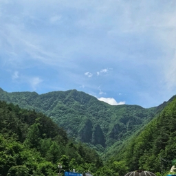 피드에 업로드 된 이미지