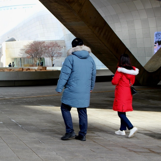 피드 이미지