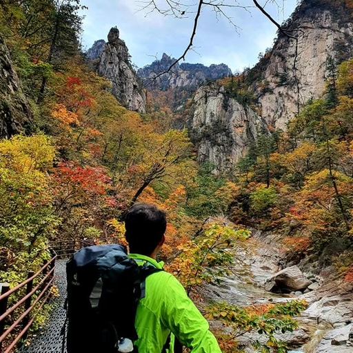 피드 이미지