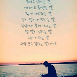 피드에 업로드 된 이미지