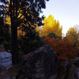 피드에 업로드 된 이미지