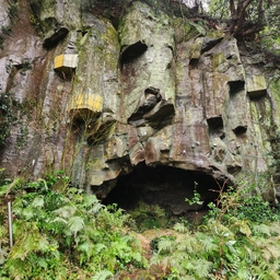 피드에 업로드 된 이미지