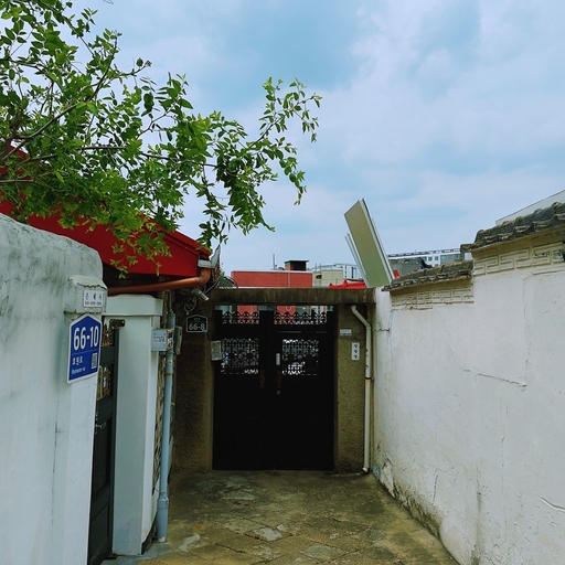 피드 이미지
