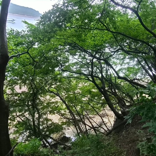 피드 이미지
