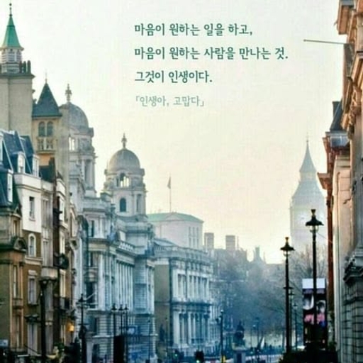 피드 이미지