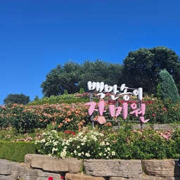 피드에 업로드 된 이미지