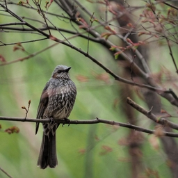 피드에 업로드 된 이미지