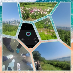 피드에 업로드 된 이미지