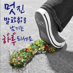 피드에 업로드 된 이미지