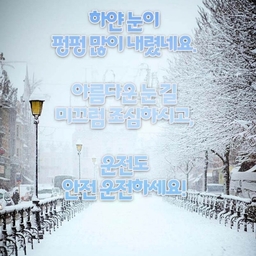 피드에 업로드 된 이미지