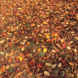 ํผ๋์ ์
๋ก๋ ๋ ์ด๋ฏธ์ง