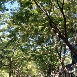 피드에 업로드 된 이미지