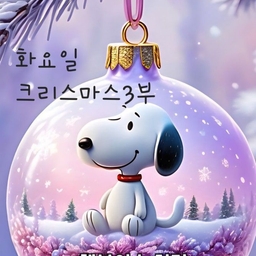 피드에 업로드 된 이미지