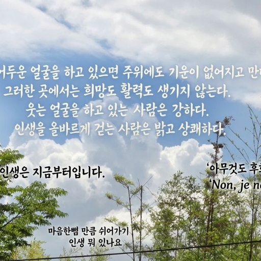 피드 이미지