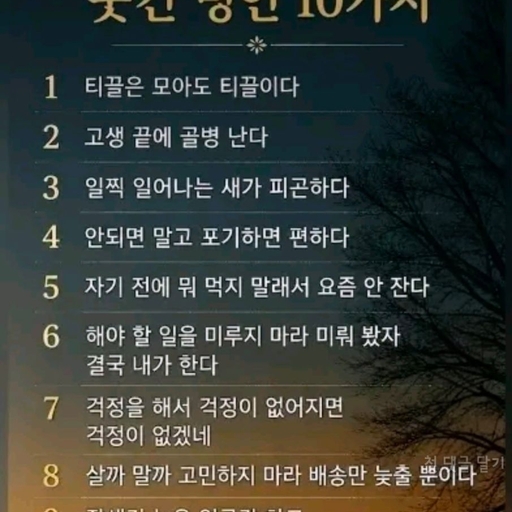 피드 이미지