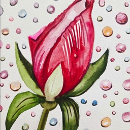 피드에 업로드 된 이미지