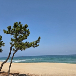 피드에 업로드 된 이미지