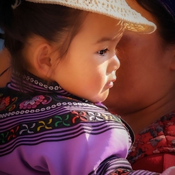 피드에 업로드 된 이미지