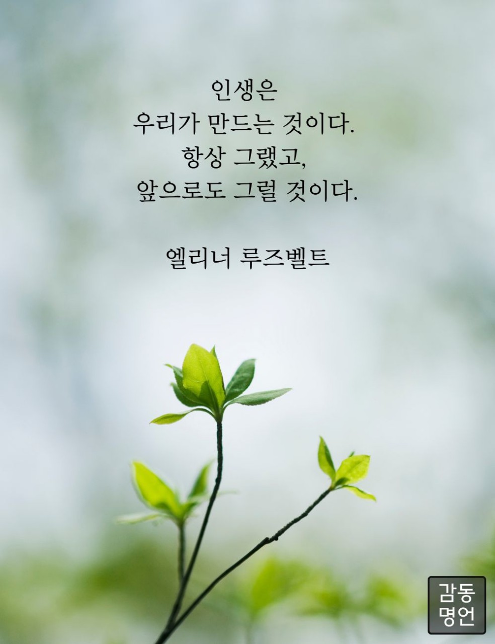 피드에 업로드 된 이미지