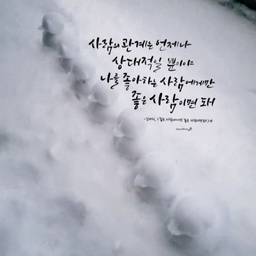 피드에 업로드 된 이미지