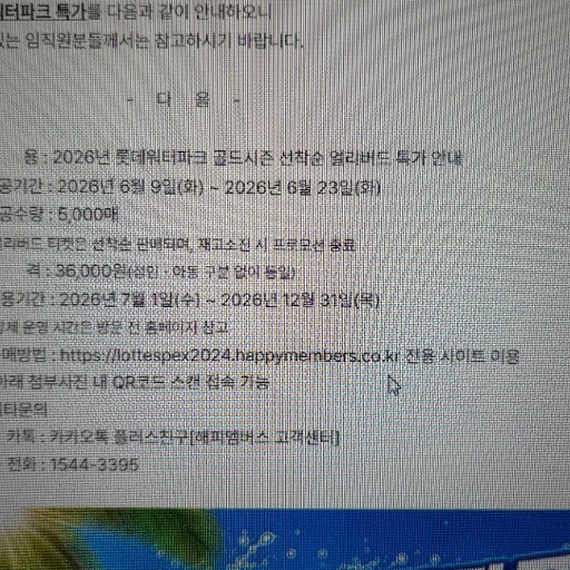 피드 이미지