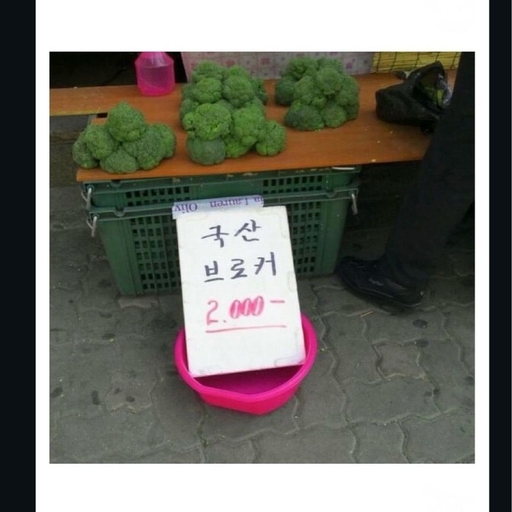 피드 이미지