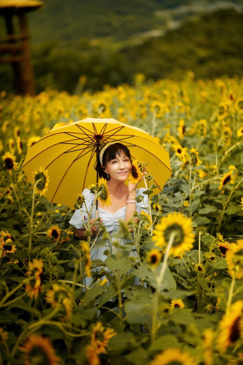 피드 이미지
