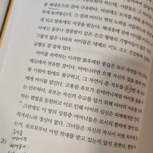 피드 이미지