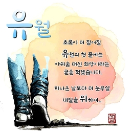 피드에 업로드 된 이미지