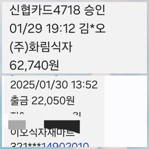 피드 이미지