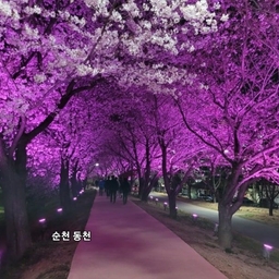 피드에 업로드 된 이미지