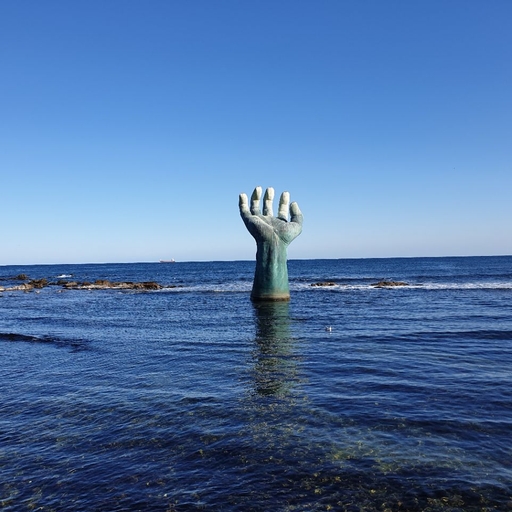 피드 이미지