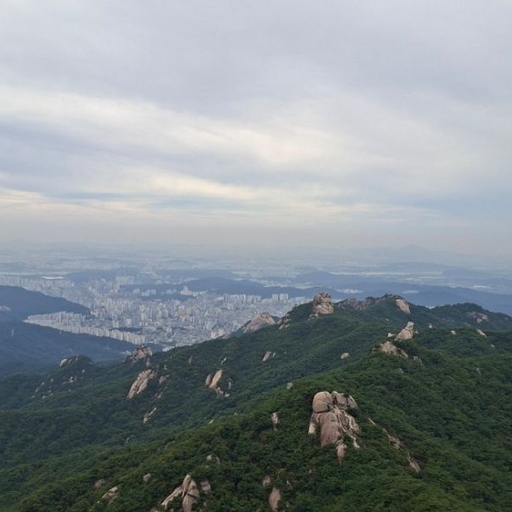 피드 이미지
