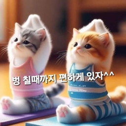 피드에 업로드 된 이미지