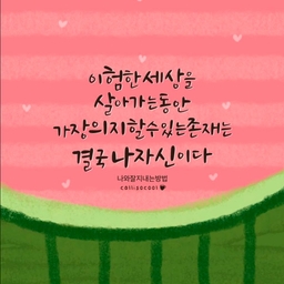 피드에 업로드 된 이미지