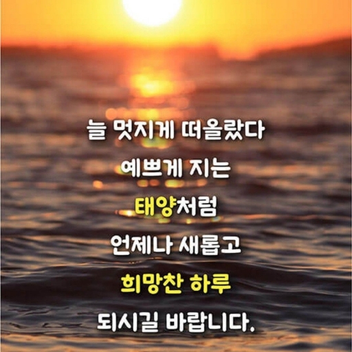 피드 이미지