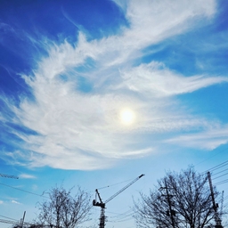 피드에 업로드 된 이미지