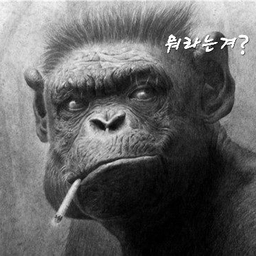 피드에 업로드 된 이미지