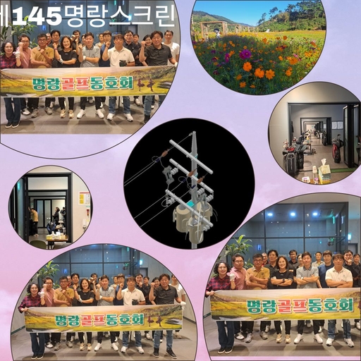 피드 이미지