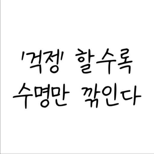 피드 이미지