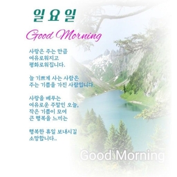 피드에 업로드 된 이미지