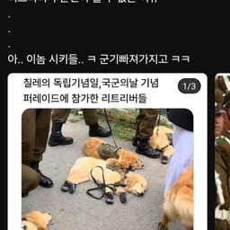 피드에 업로드 된 이미지