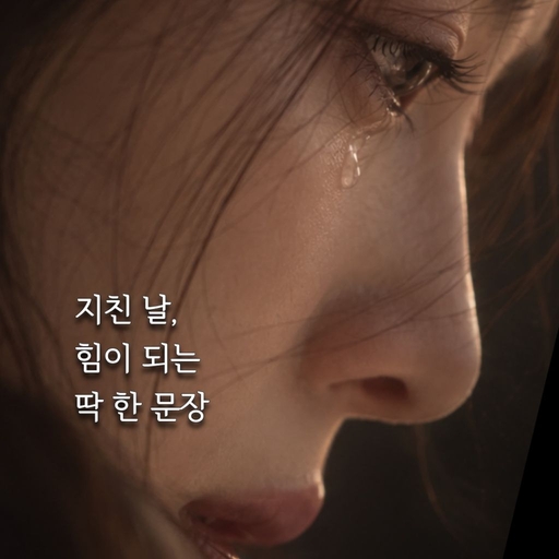 피드 이미지