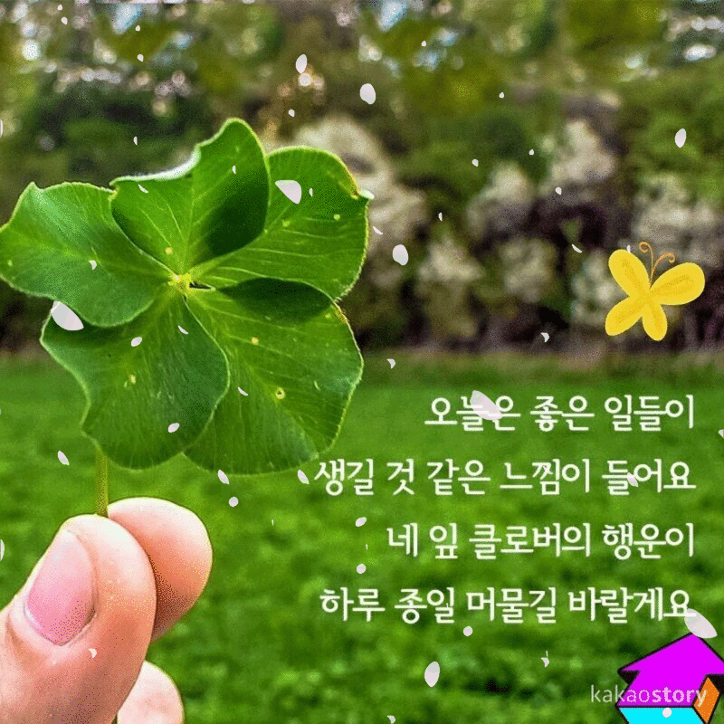 피드에 업로드 된 이미지