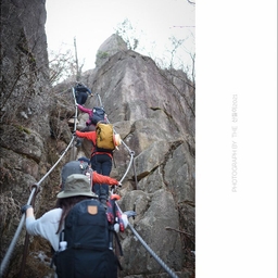 피드에 업로드 된 이미지