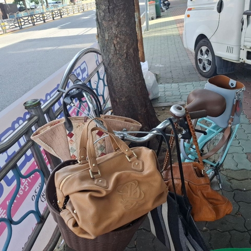 피드 이미지