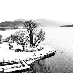 피드에 업로드 된 이미지