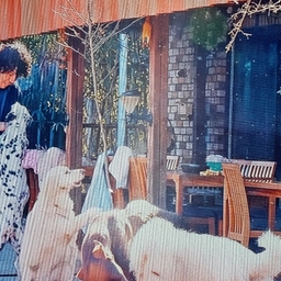 피드에 업로드 된 이미지