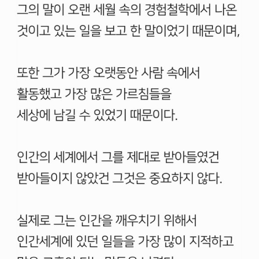 피드 이미지