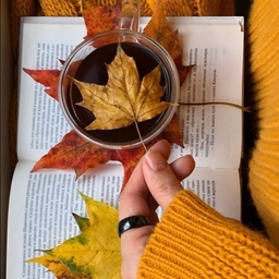 ํผ๋์ ์
๋ก๋ ๋ ์ด๋ฏธ์ง